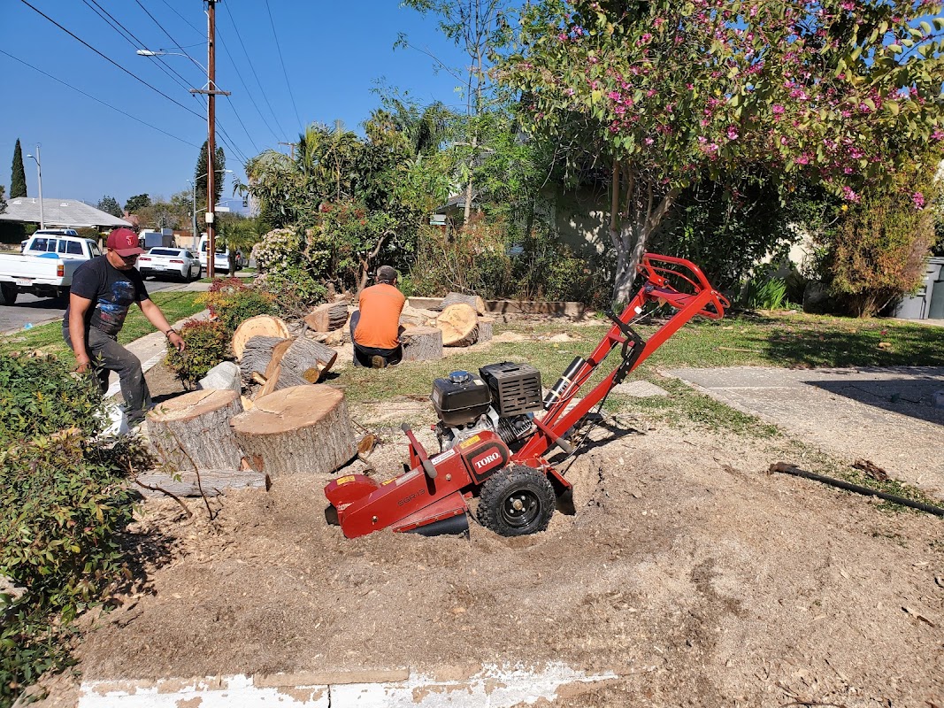 Ebenezer Landscape project 4